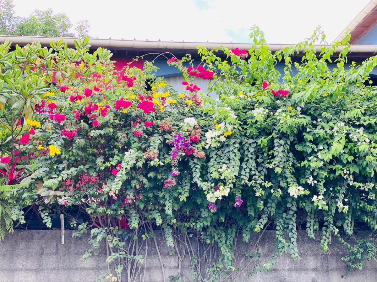دزاودزي Moya Residence By Md المظهر الخارجي الصورة